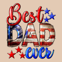 Best Dad Ever 4th Of July Urban Hoodie | Teevron