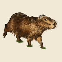 Capybara Premium Tee | Teevron