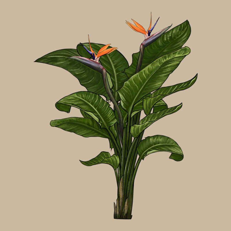 The Bird Of Paradise Long Sleeve Tee by LillyAllenDesigns | Teevron