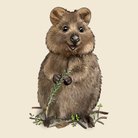 Quokka Premium Tee | Teevron