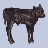Black Angus Calf Illustrations Long Sleeve Tee | Teevron