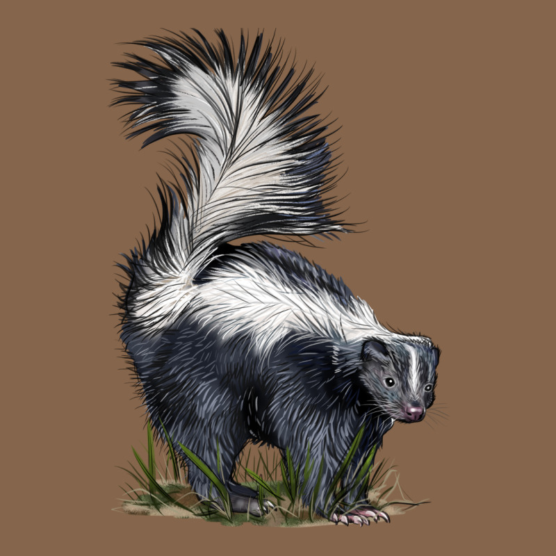 Skunk Premium Tee by LillyAllenDesigns | Teevron