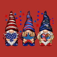 4th Of July Gnomies With Stars Premium Hoodie | Teevron