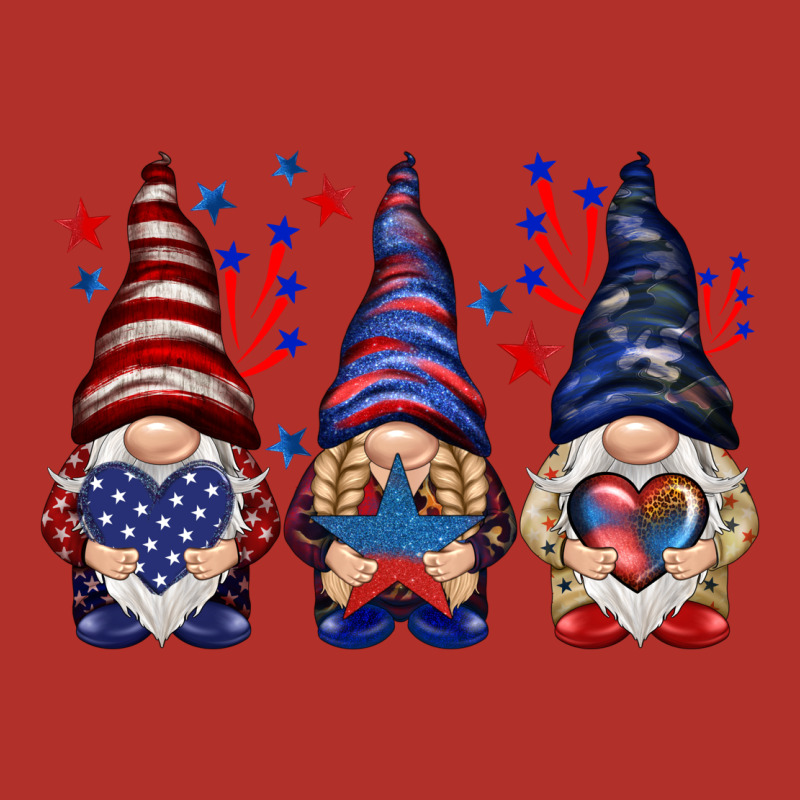 4th Of July Gnomies With Stars Premium Hoodie by HowdyJamesFarm | Teevron