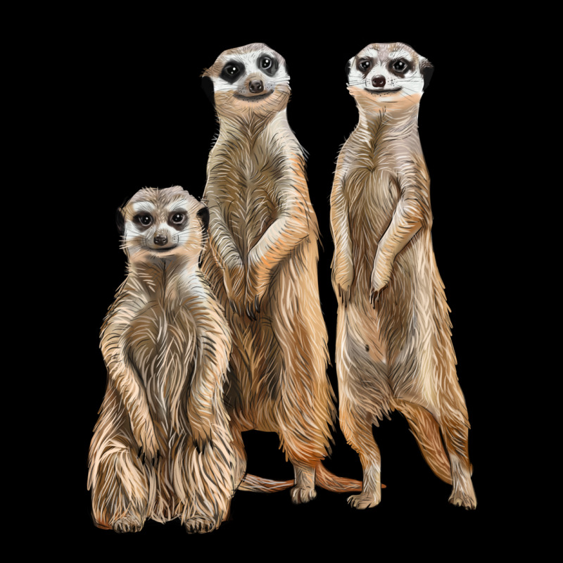 3 Meerkat Premium Tee by LillyAllenDesigns | Teevron