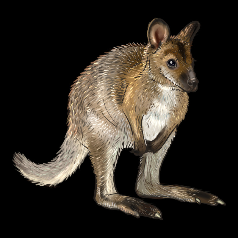 Hand Drawn Wallaby Animal Premium Tee by LillyAllenDesigns | Teevron