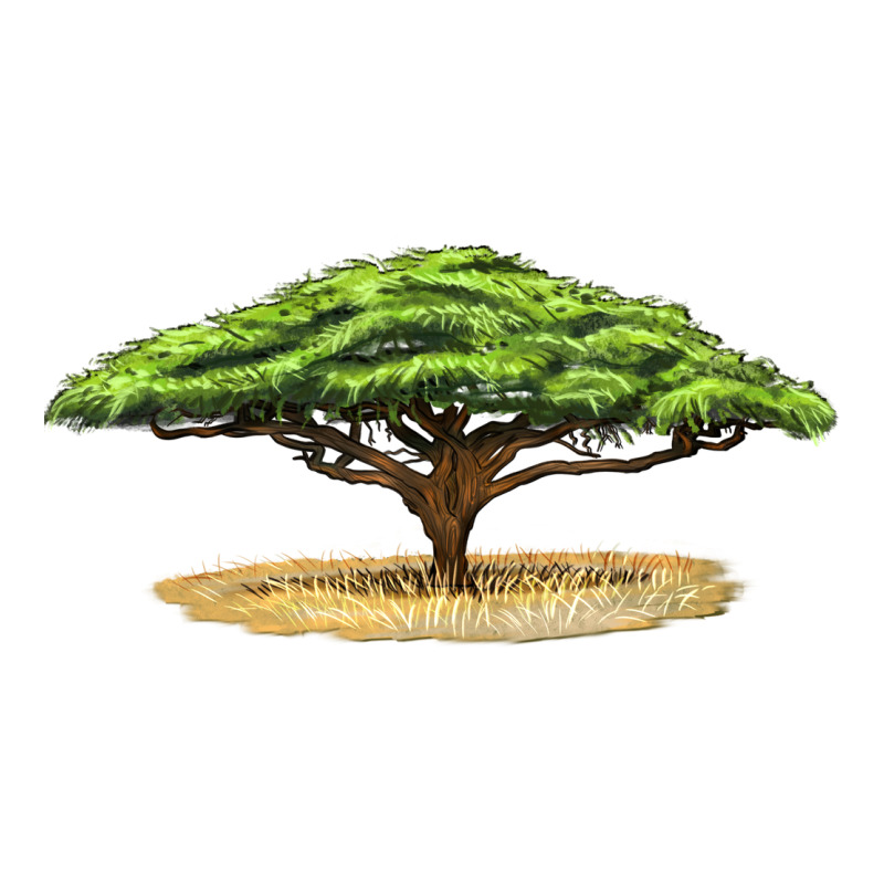 Acacia Tree Premium Tee by LillyAllenDesigns | Teevron