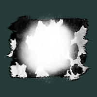 Cowhide Bleached Premium Sweatshirt | Teevron
