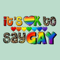 It's Okay To Say Gay Pride Premium Hoodie | Teevron
