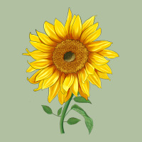 Bambino Sunflower Urban Hoodie | Teevron