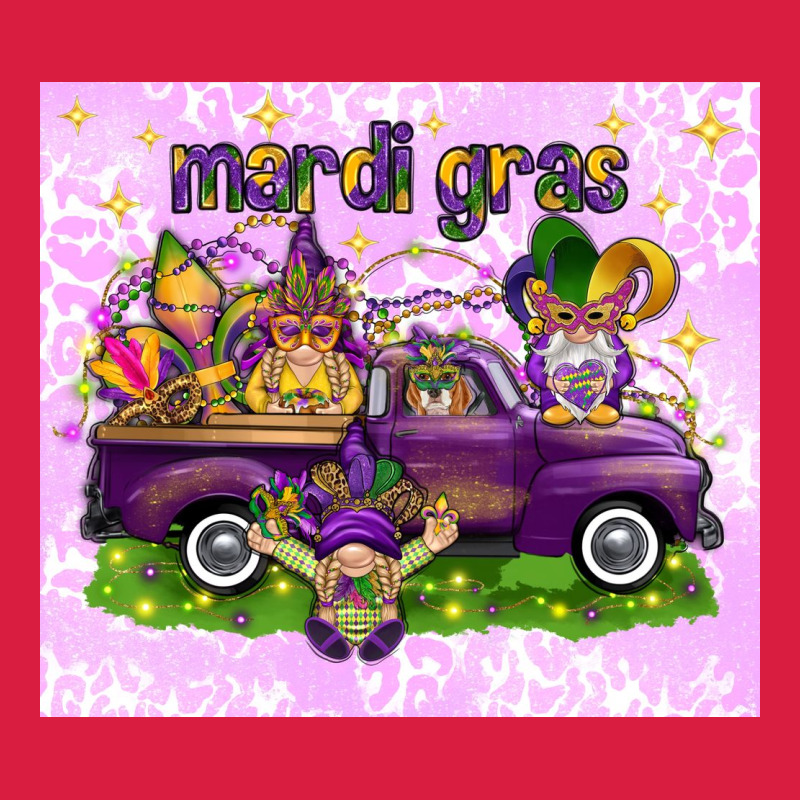 Mardi Gras With Gnomies Tumbler Premium Hoodie by HowdyJamesFarm | Teevron