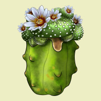 Blossfeldia Cactus Urban Hoodie | Teevron