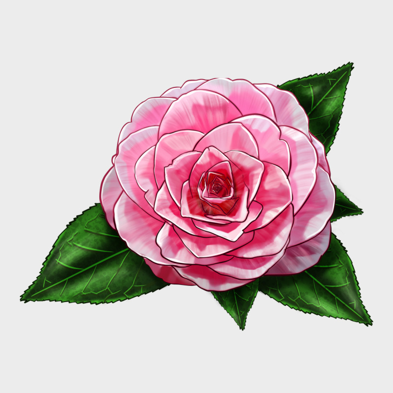 Camellia Flower Urban Hoodie by LillyAllenDesigns | Teevron