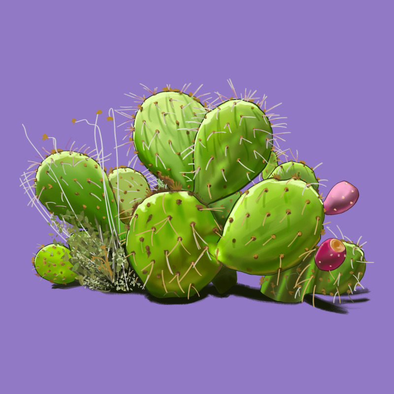 Desert Prickly Pear Cactus Urban Hoodie by LillyAllenDesigns | Teevron