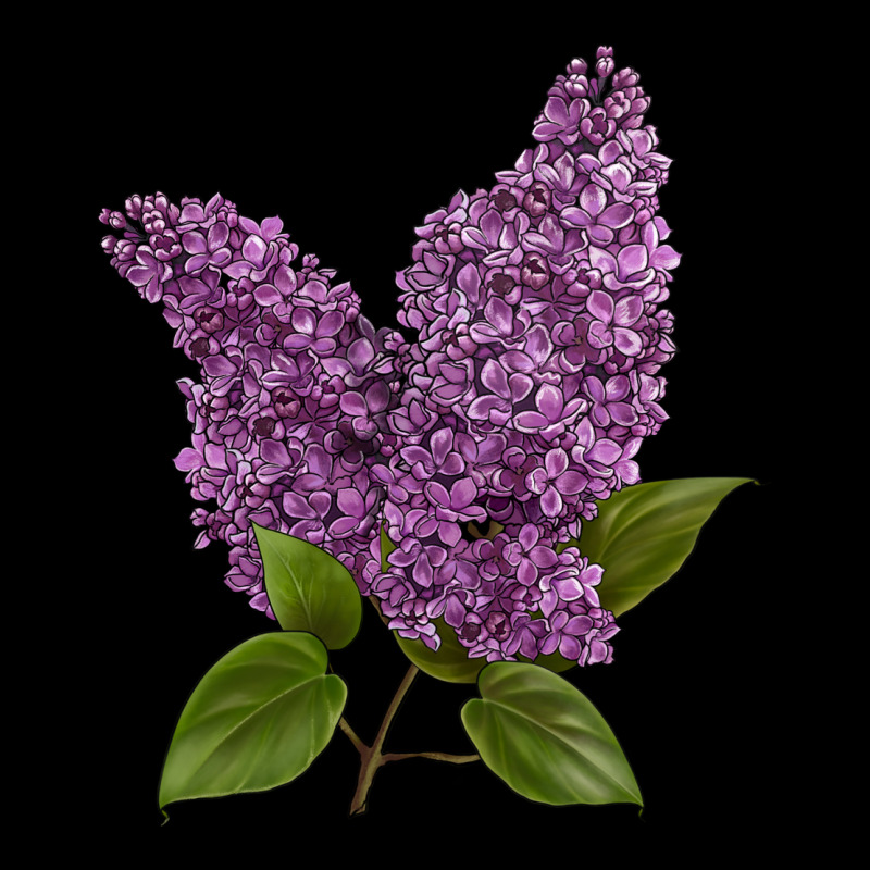 Purple Lilac Flower Urban Hoodie by LillyAllenDesigns | Teevron