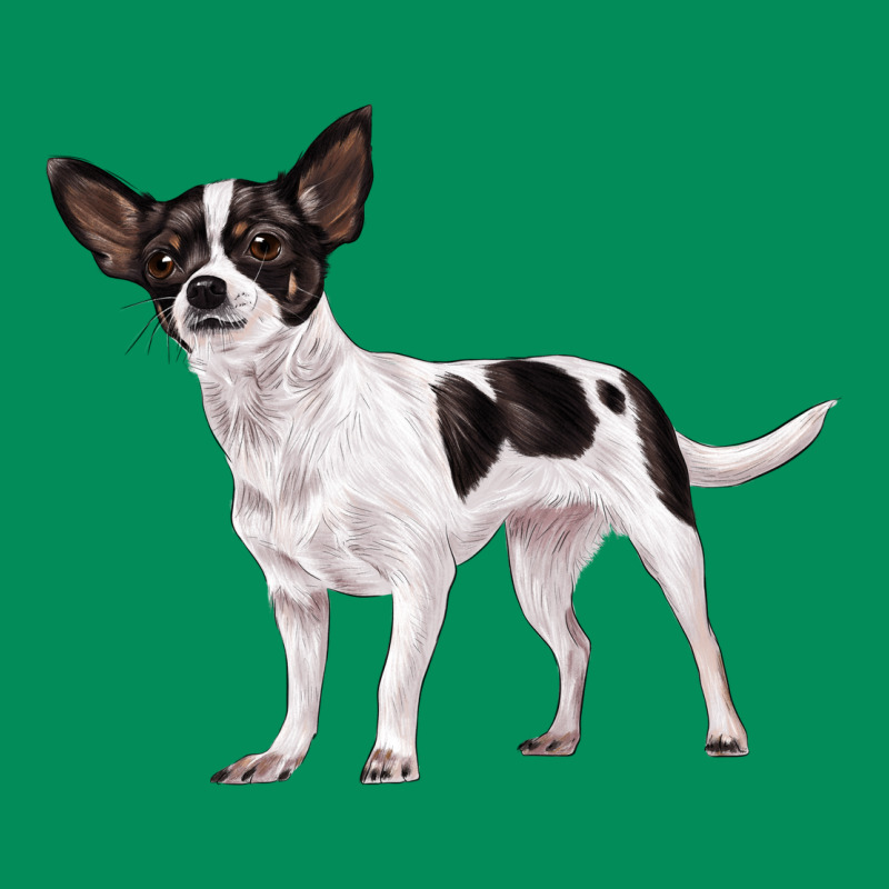 Chihuahua Urban Hoodie by LillyAllenDesigns | Teevron