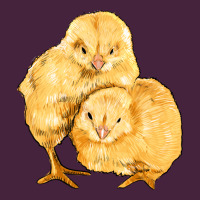 Chicks Premium Tee | Teevron