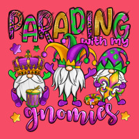 Parading With My Gnomies Premium Sweatshirt | Teevron