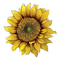 Sunflower Premium Tee | Teevron