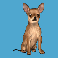 Chihuahua Premium Hoodie | Teevron