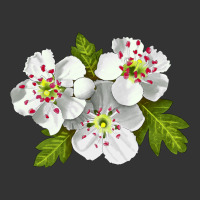 Hawthorn Flower | Teevron