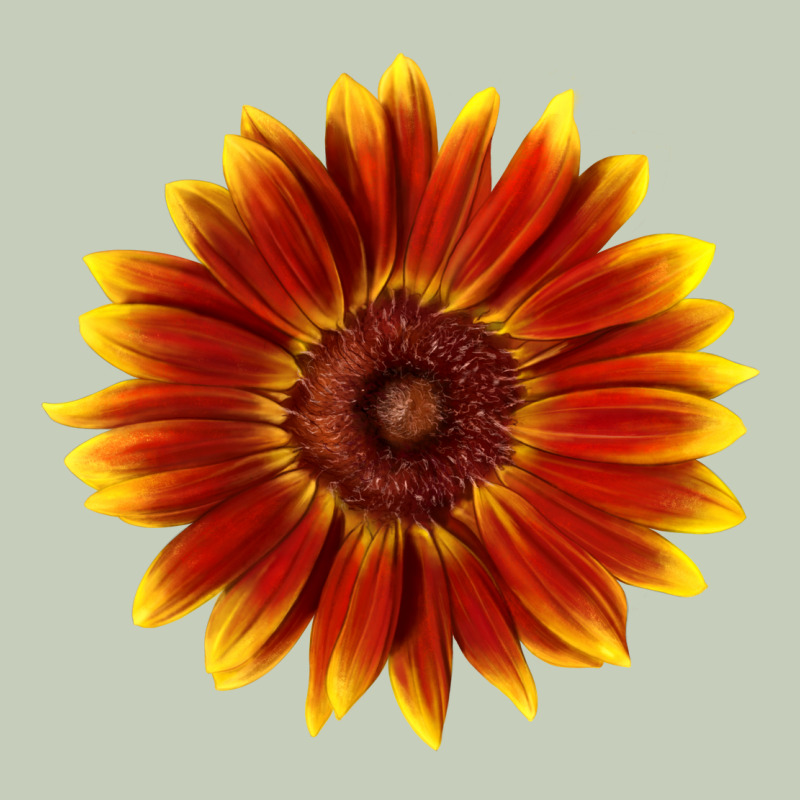 Little Becka Sunflower Long Sleeve Tee by LillyAllenDesigns | Teevron