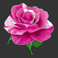 Parade Day Rose | Teevron