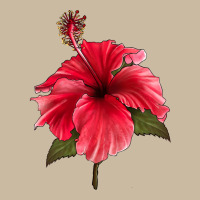 Puerto Rican Hibiscus Flower Long Sleeve Tee | Teevron
