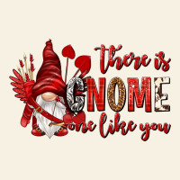 There Is Gnome One Like You Vintage Tee | Teevron