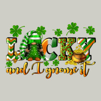 Lucky And I Gnome It St. Patrick's Day Heavyweight Hoodie | Teevron