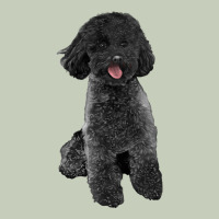 Black Poodles Dog Long Sleeve Tee | Teevron