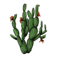 Cactus With Flowers Premium Tee | Teevron
