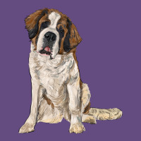 Saint Bernard Vintage Hoodie | Teevron