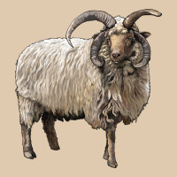 Navajo Churro Sheep Heavyweight Sweatshirt | Teevron