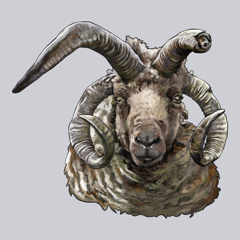 Navajo Churro Sheep Head Heavyweight Sweatshirt by LillyAllenDesigns | Teevron