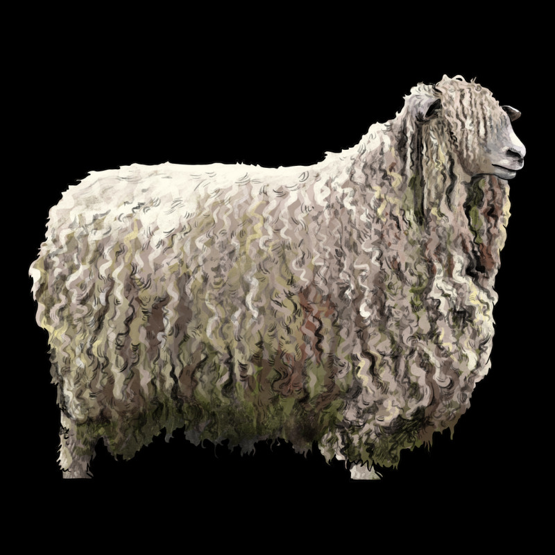 Lincoln Sheep Heavyweight Sweatshirt by LillyAllenDesigns | Teevron