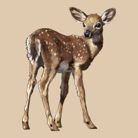 White Tailed Fawn Deer Heavyweight Sweatshirt | Teevron