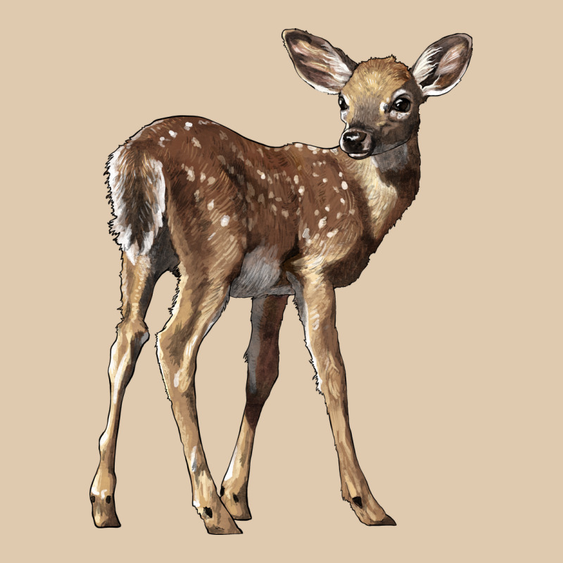 White Tailed Fawn Deer Heavyweight Sweatshirt by LillyAllenDesigns | Teevron