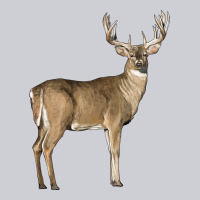 White Tailed Buck Deer Heavyweight Sweatshirt | Teevron