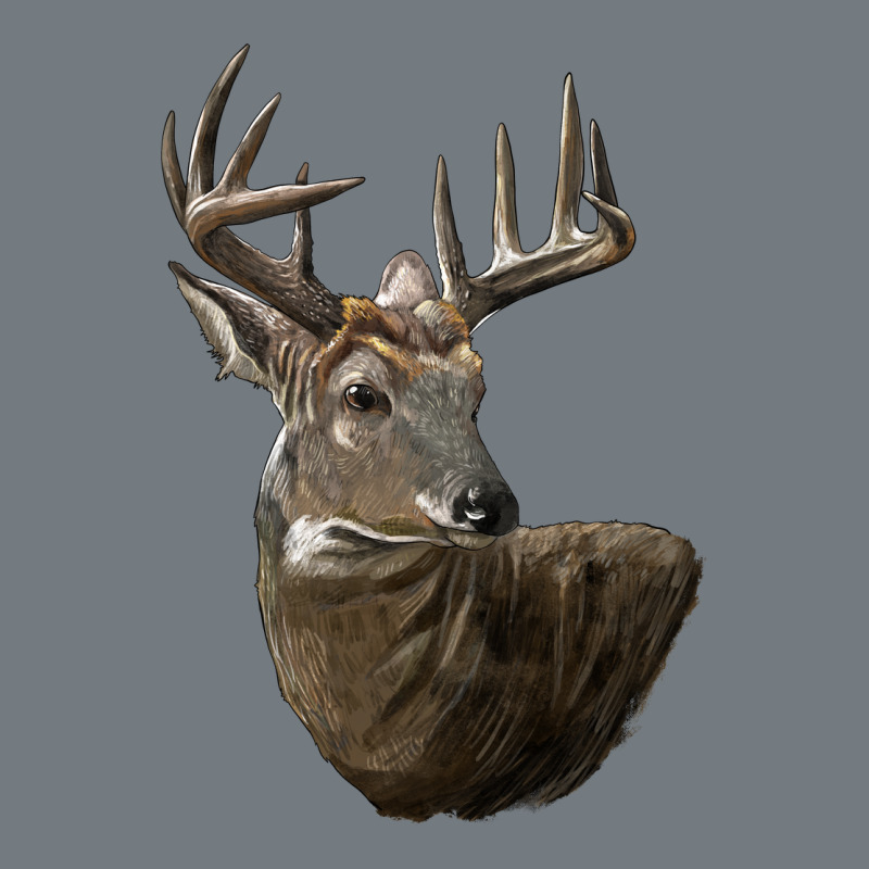White Tailed Buck Deer Head Heavyweight Sweatshirt by LillyAllenDesigns | Teevron