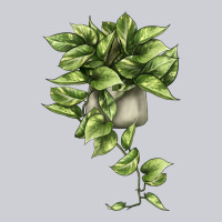 Golden Pothos Heavyweight Sweatshirt | Teevron