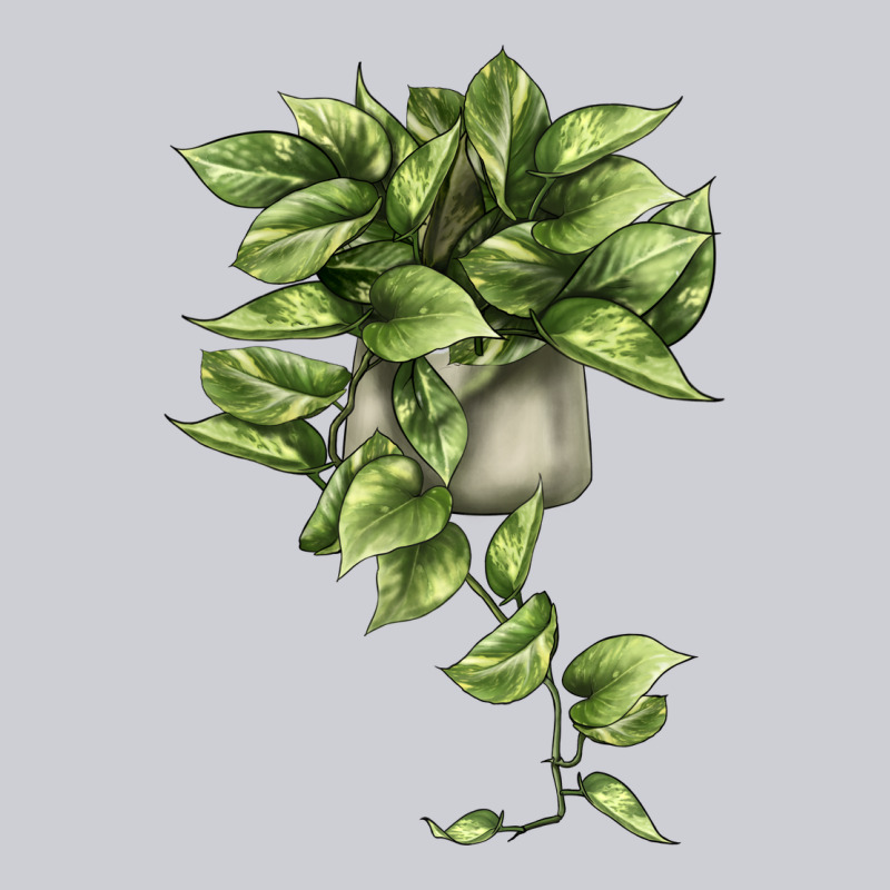 Golden Pothos Heavyweight Sweatshirt by LillyAllenDesigns | Teevron