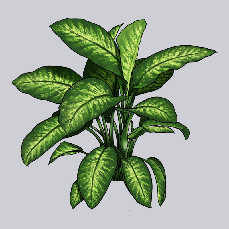 Dumb Cane Heavyweight Sweatshirt by LillyAllenDesigns | Teevron