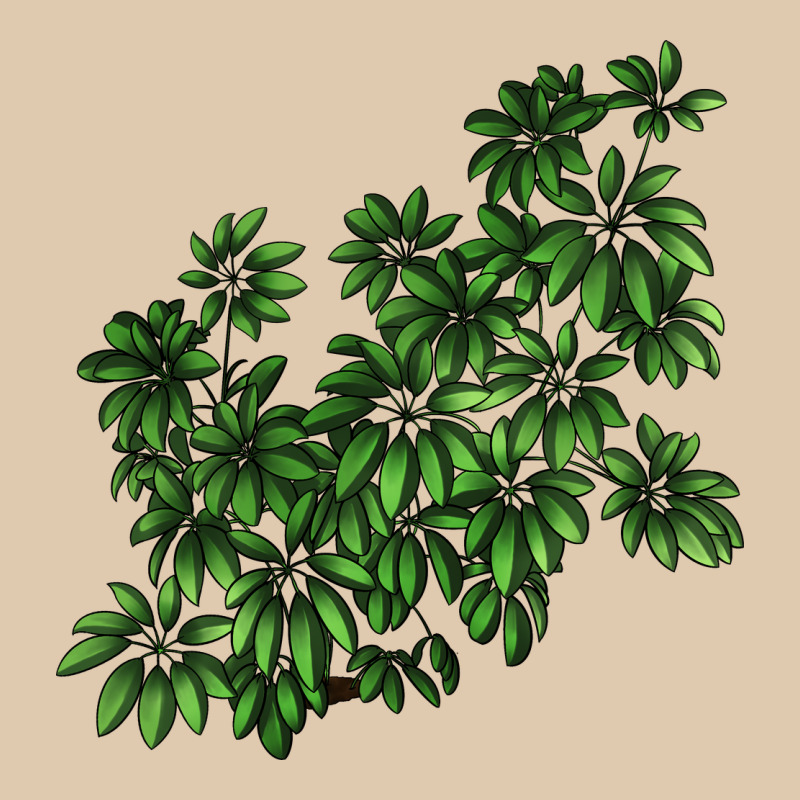 Botanical Schefflera Illustrations Heavyweight Sweatshirt by LillyAllenDesigns | Teevron
