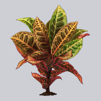 Croton Heavyweight Sweatshirt | Teevron