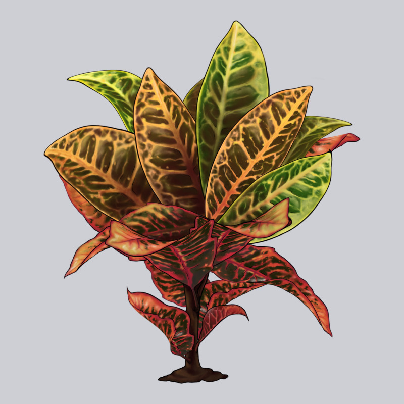 Croton Heavyweight Sweatshirt by LillyAllenDesigns | Teevron