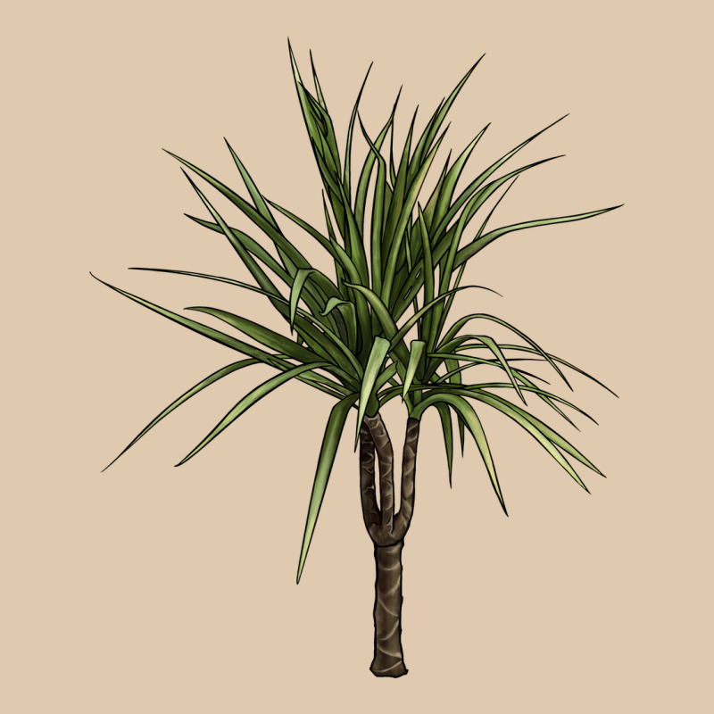 Dracaena Marginata Heavyweight Sweatshirt by LillyAllenDesigns | Teevron