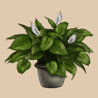 Peace Lily Heavyweight Sweatshirt | Teevron