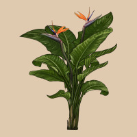 The Bird Of Paradise Heavyweight Sweatshirt | Teevron