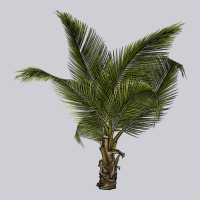 Palm Tree Heavyweight Sweatshirt | Teevron